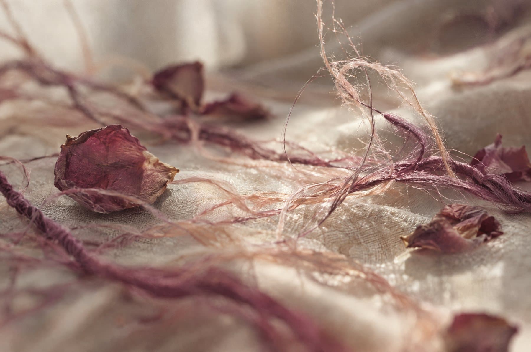 Plum silk threads and dried petals on linen