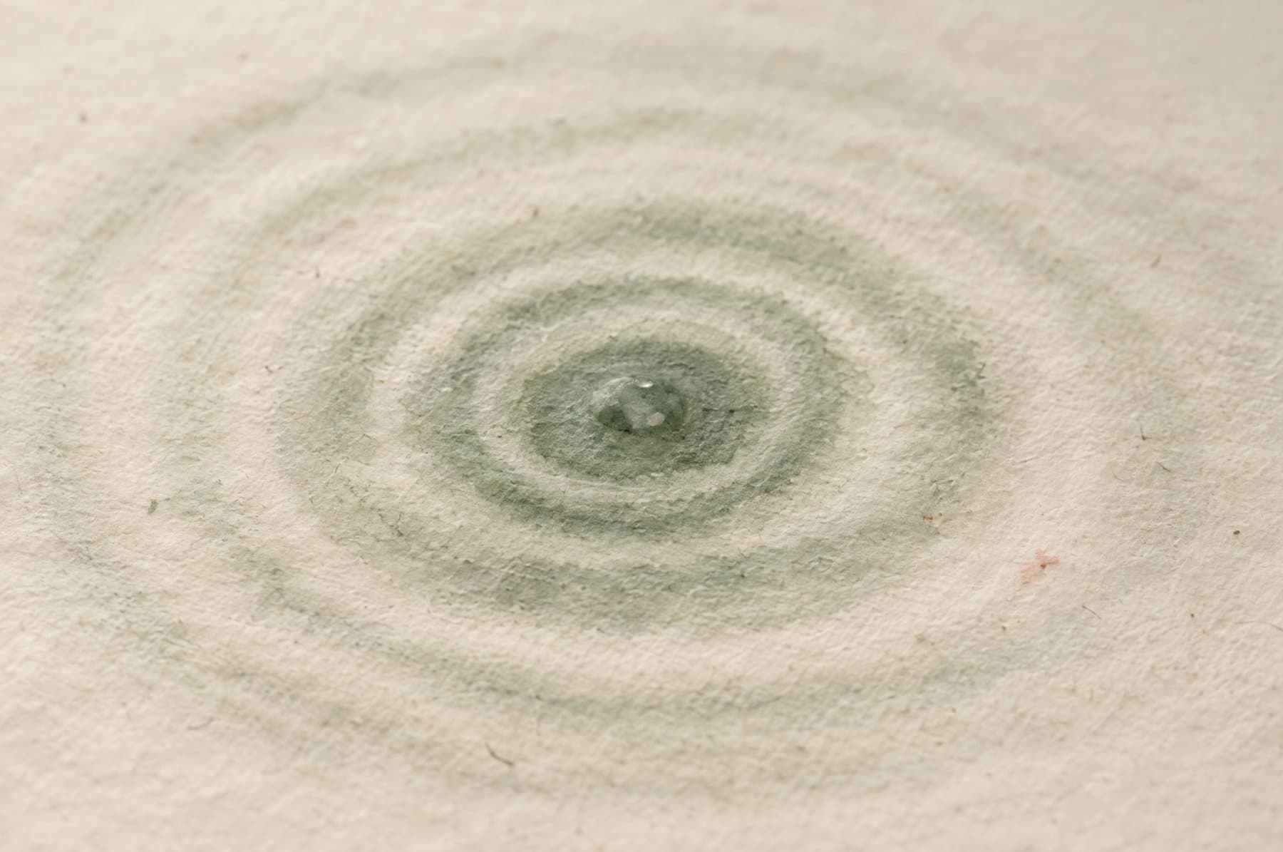 Concentric circles of sage watercolour on wet paper